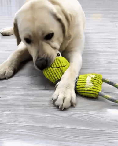 Chew crew Animal Toys For Dog